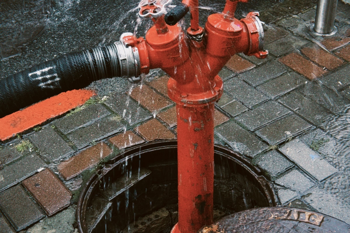 Sewage Cleanup service in Union City, NJ